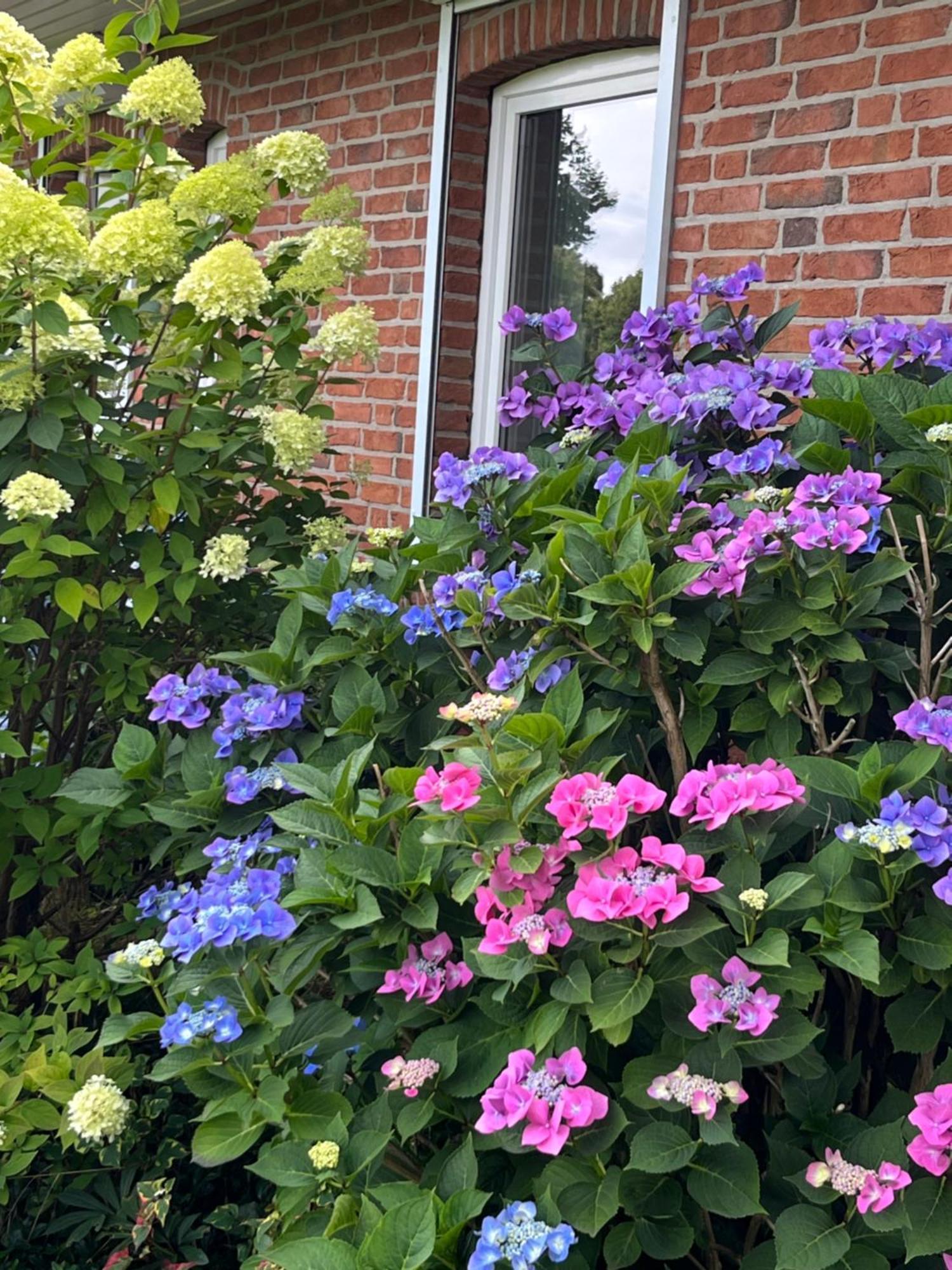 Gartenzimmer Zwischen Den Meeren Ladelund Exterior foto
